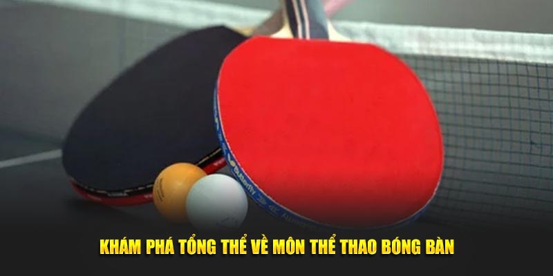 Khám phá tổng thể về môn thể thao bóng bàn
